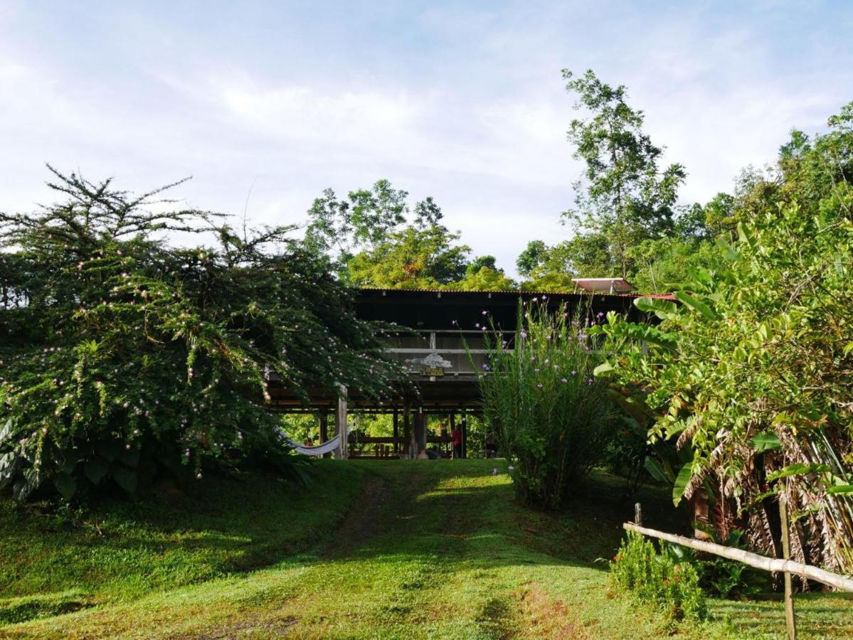 Albergue La Laguna Puerto Jiménez Buitenkant foto