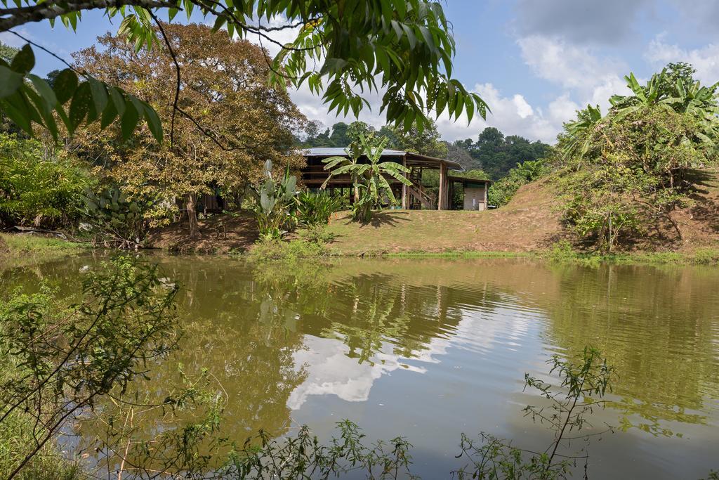 Albergue La Laguna Puerto Jiménez Buitenkant foto