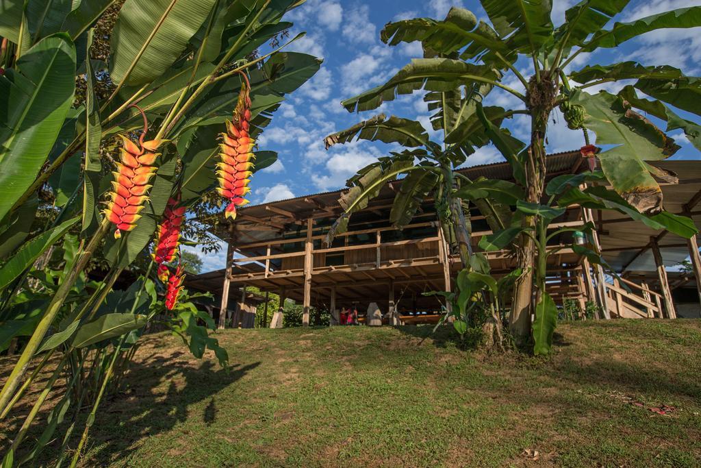 Albergue La Laguna Puerto Jiménez Buitenkant foto