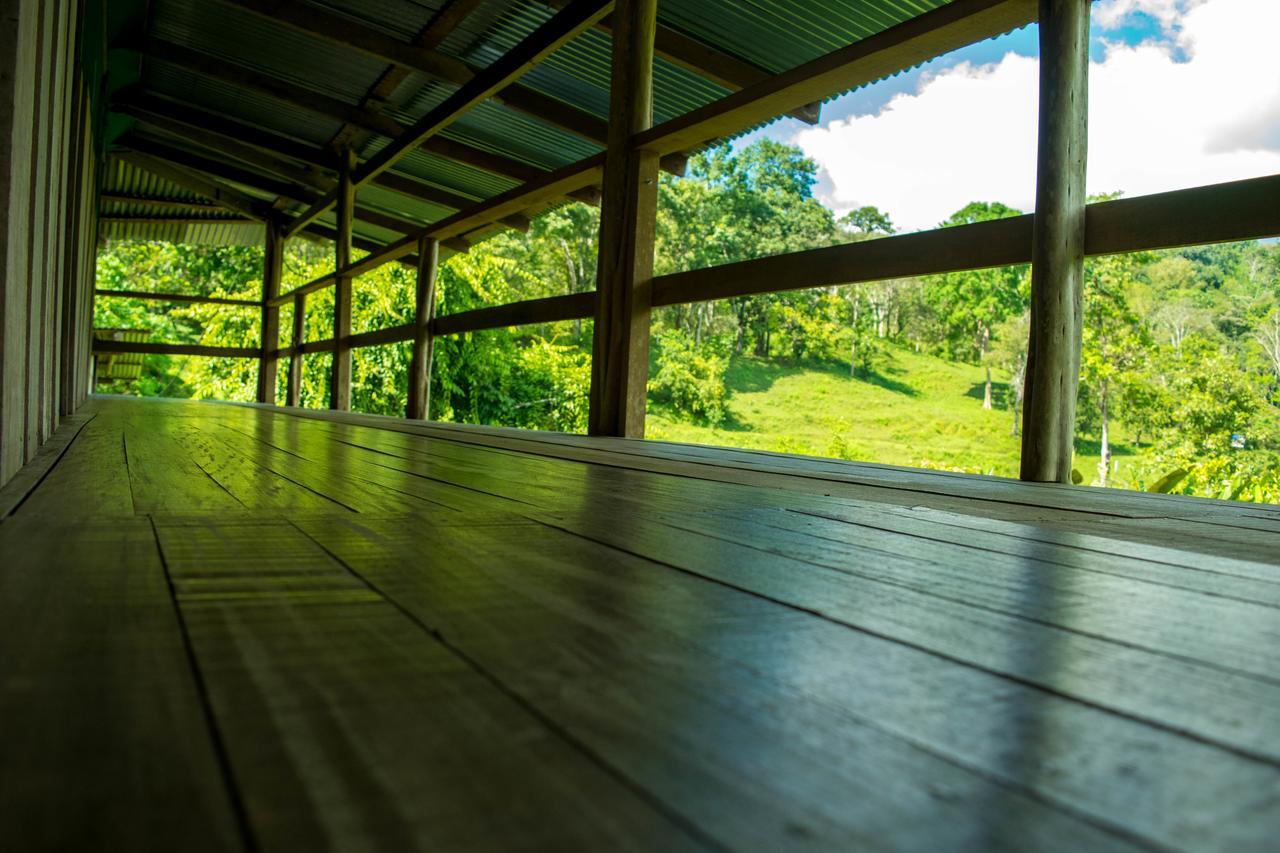 Albergue La Laguna Puerto Jiménez Buitenkant foto